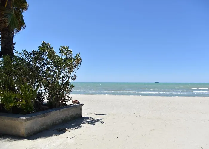 מלון Ujvara גולם